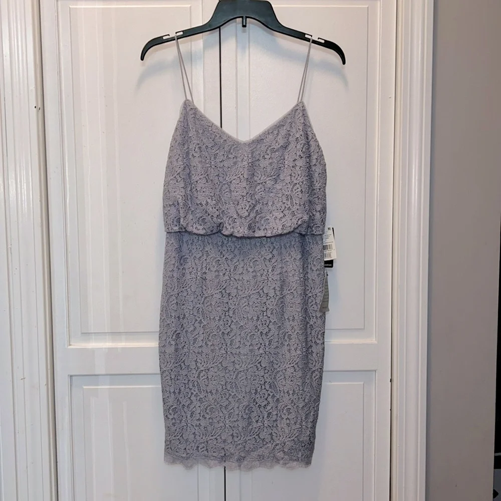 ✨ Adrianna Papell ✨ NWT Guipure Lace Blouson Dress Light Dove Size 6 - Picture 4 of 10